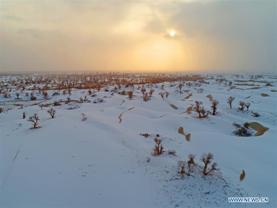 #CHINA-XINJIANG-TAKLIMAKAN DESERT-SCENERY (CN)