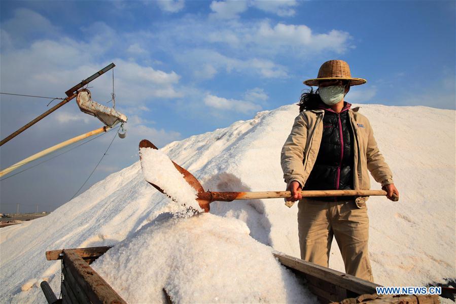 #CHINA-JIANGSU-SALT HARVEST (CN)