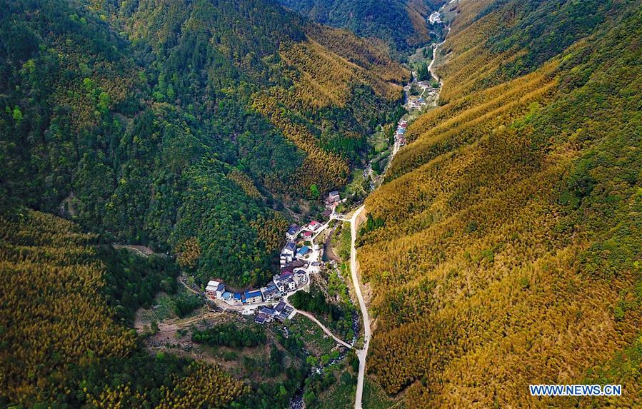 CHINA-FUJIAN-WUYI MOUNTAIN-TEA PRODUCTION (CN)