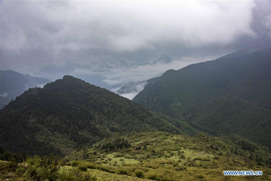 CHINA-HUBEI-SHENNONGJIA-SCENERY (CN)