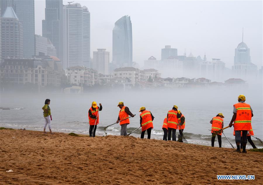 CHINA-QINGDAO-ENTEROMORPHA-CLEAN (CN)