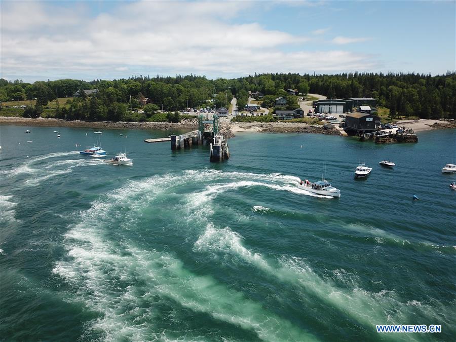 (SP)U.S.-BASS HARBOR- LOBSTER BOAT RACE