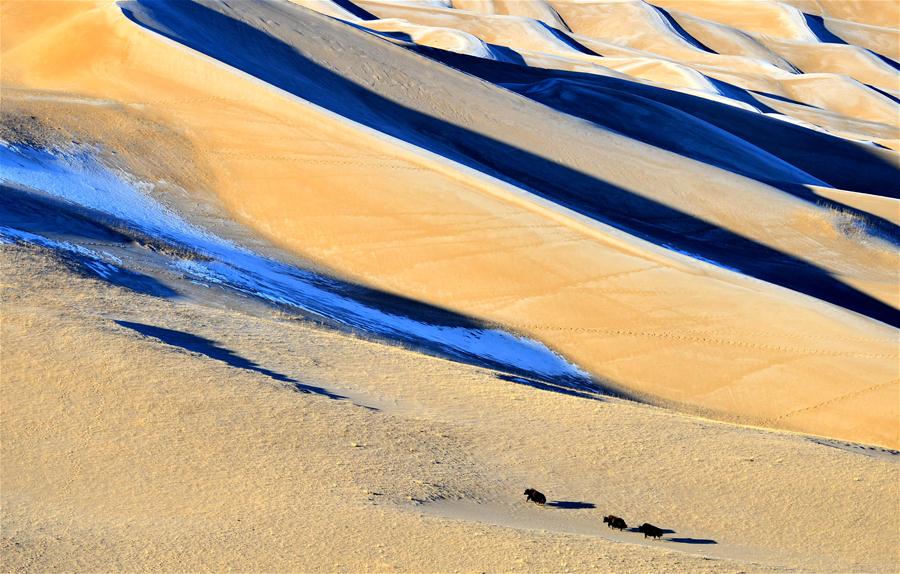 Xinhua Headlines: Qinghai-Tibet Plateau still one of cleanest regions on earth