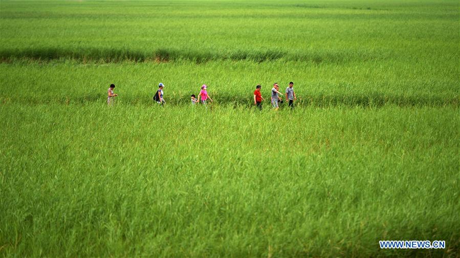 CHINA-HEILONGJIANG-QIQIHAR-NATURE RESERVE (CN)