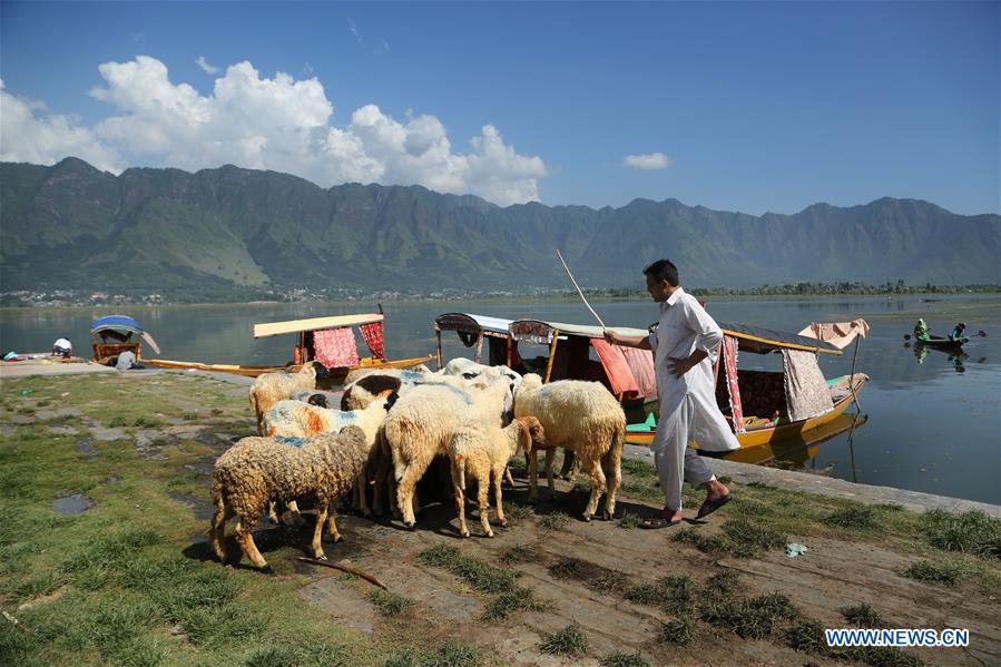 KASHMIR-SRINAGAR-DAILY LIFE