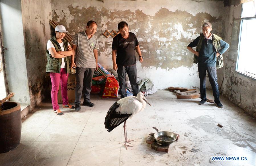 CHINA-DAQING-ORIENTAL WHITE STORK-RELEASE (CN)