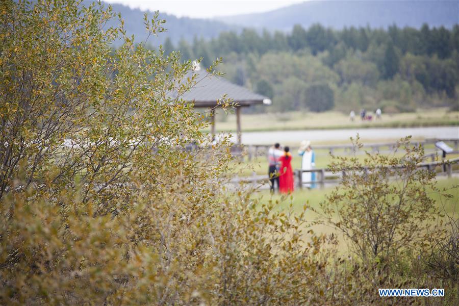 #CHINA-HEBEI-SAIHANBA NATIONAL FOREST PARK-SCENERY (CN)