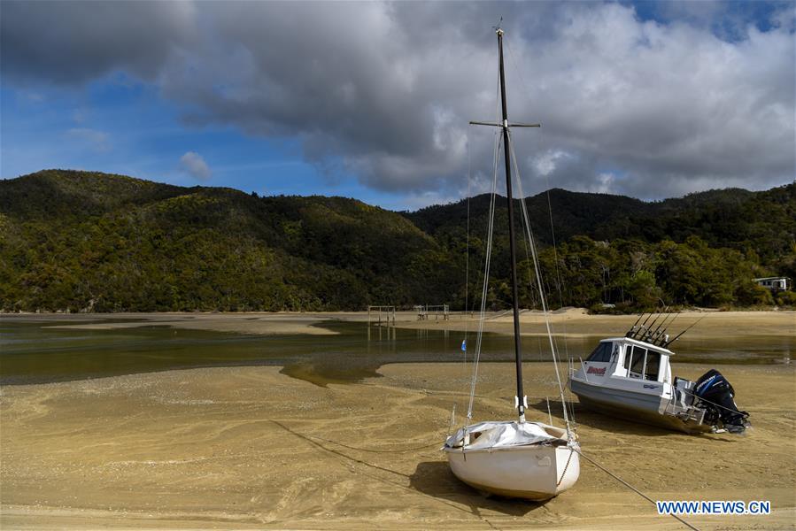 NEW ZEALAND-ABEL TASMAN NATIONAL PARK-DAILY LIFE