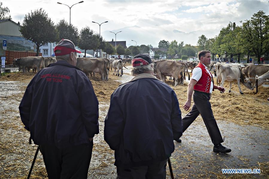 SWITZERLAND-APPENZELL-CATTLE SHOW