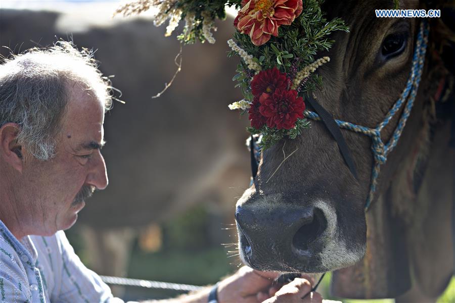 SWITZERLAND-SEEWIS-DESALPE-FESTIVAL 