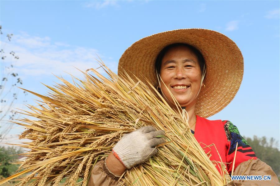 #CHINA-AUTUMN-HARVEST(CN)