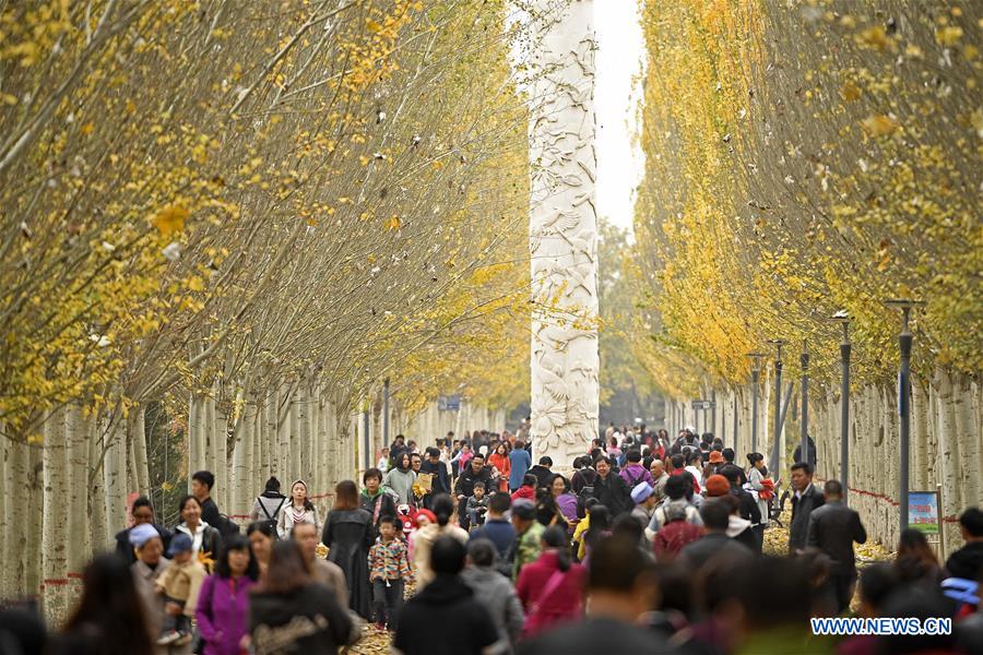 CHINA-YINCHUAN-AUTUMN SCENERY (CN)