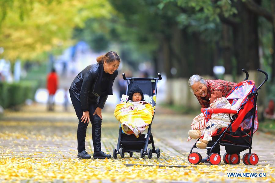 CHINA-GUIZHOU-AUTUMN-SCENERY (CN)