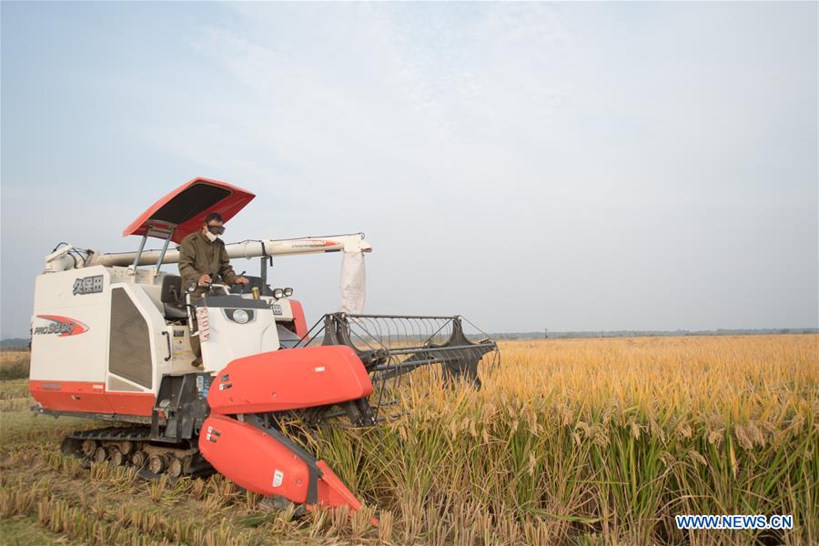 CHINA-ZHEJIANG-HUZHOU-RECYCLING AGRICULTURE (CN)