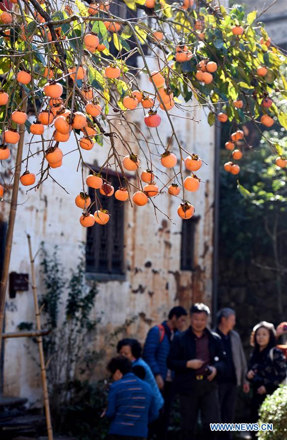 CHINA-JIANGXI-WUYUAN-SCENERY (CN)