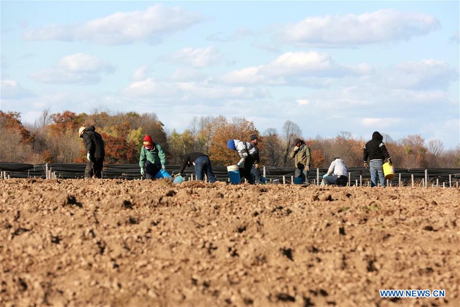 Xinhua Headlines: Merchants from U.S. state of Wisconsin seek Chinese buyers for growth