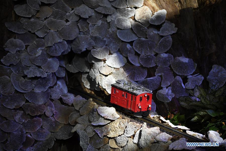 U.S.-WASHINGTON-USBG-HOLIDAY EXHIBIT-ICONIC TRAIN STATIONS