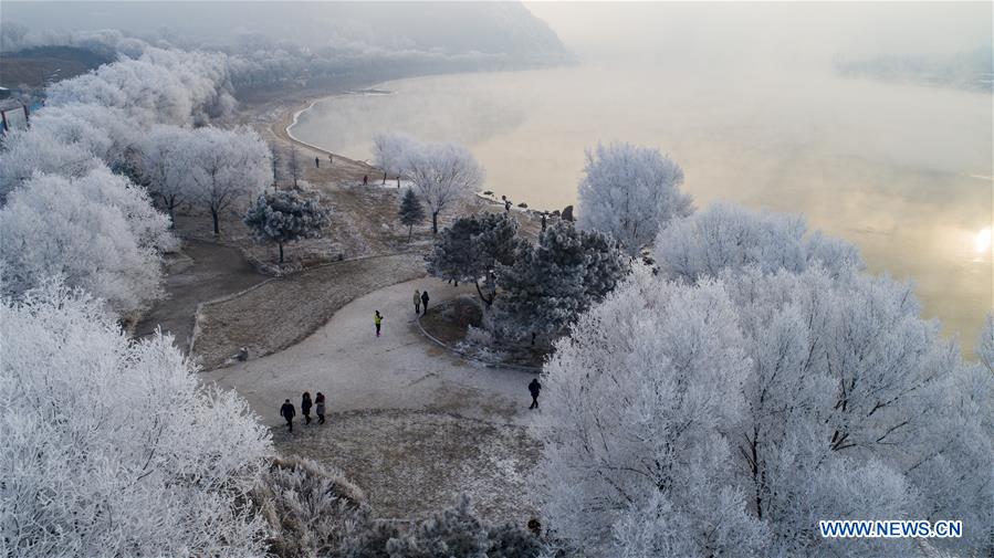 #CHINA-JILIN-FROSTY SCENERY(CN)