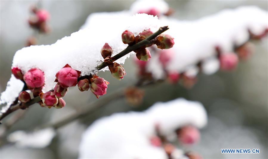 #CHINA-SNOW SCENERY (CN)