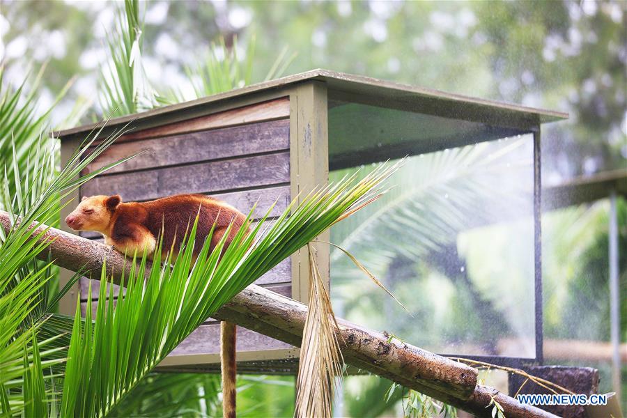 AUSTRALIA-CANBERRA-ZOO-HEAT WAVE