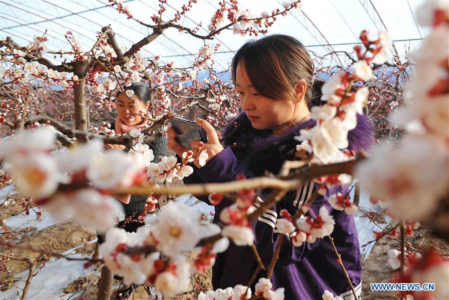 #CHINA-GREENHOUSE-SPRING (CN)