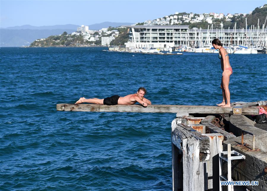 NEW ZEALAND-WELLINGTON-SUMMER DAY-SEASIDE