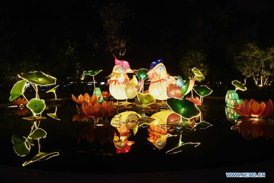 CHINA-YUNAN-KUNMING-FANCY LANTERNS (CN)