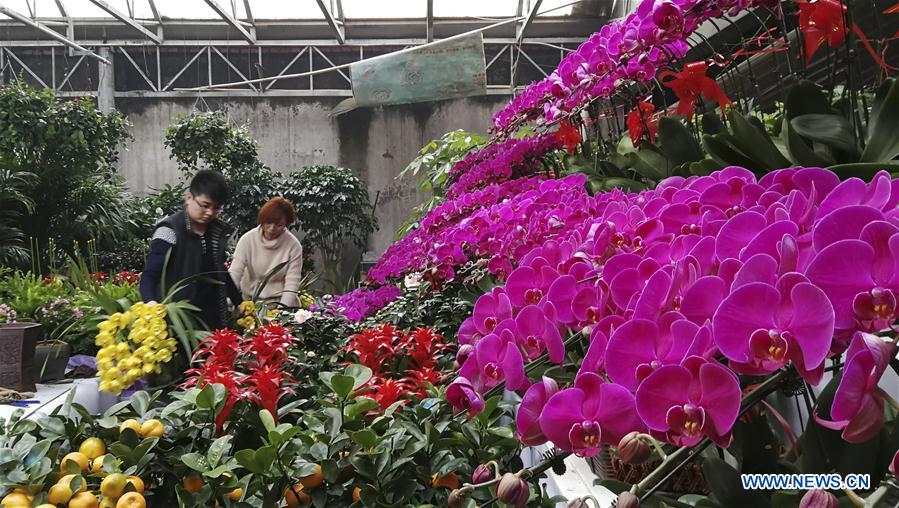 #CHINA-HEBEI-FLOWER MARKET (CN)