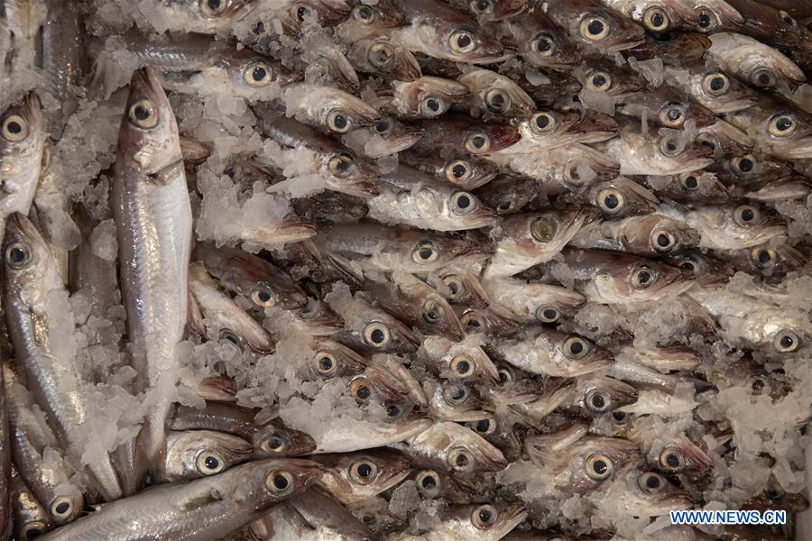 GREECE-PIRAEUS-FISHMARKET-KERATSINI