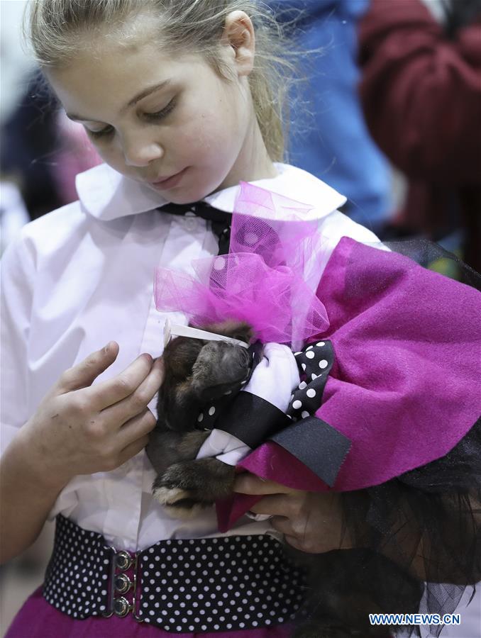 U.S.-HOUSTON-RABBIT-CAVY-COSTUME CONTEST