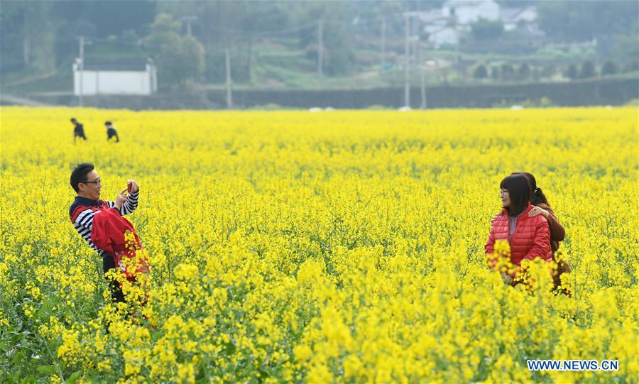 CHINA-ZHEJIANG-COLE FLOWERS (CN)