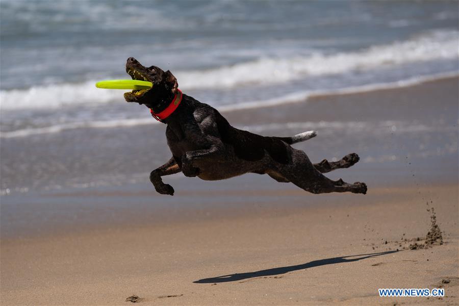 XINHUA PHOTOS OF THE DAY