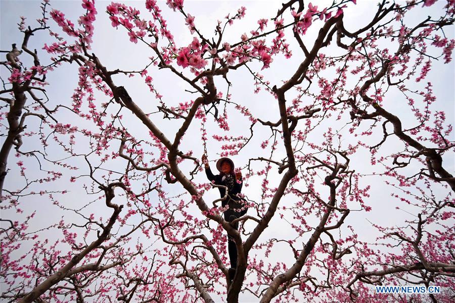 XINHUA PHOTOS OF THE DAY