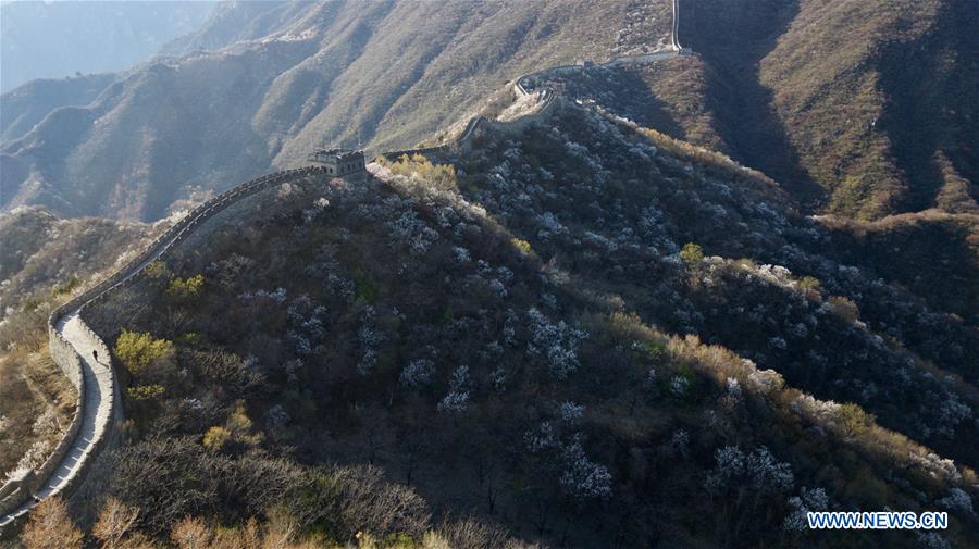 CHINA-BEIJING-GREAT WALL-SCENERY (CN)