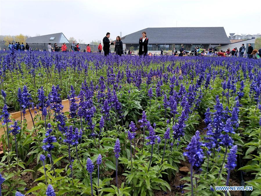 (BeijingCandid)CHINA-BEIJING-HORTICULTURAL EXPO SITE-TRIAL RUN (CN)