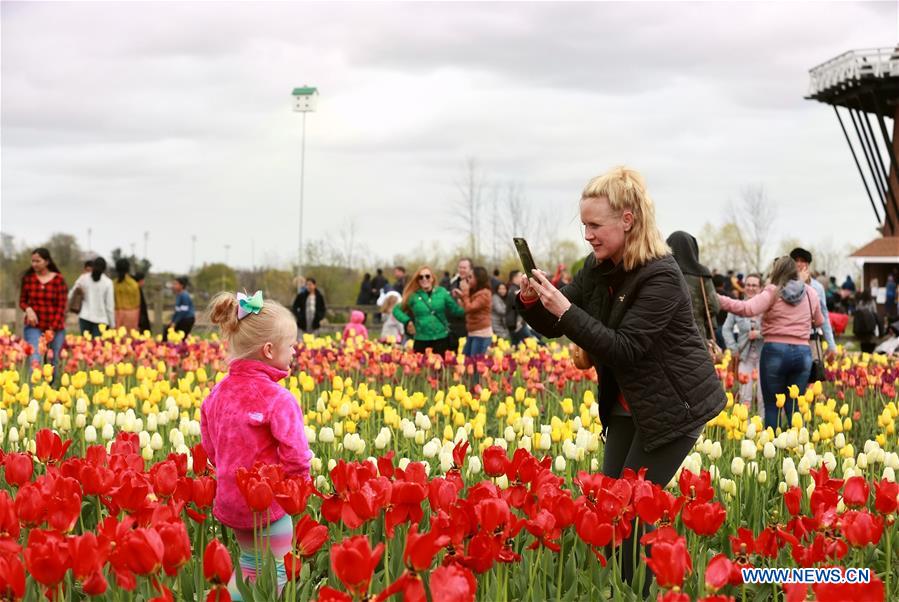 U.S.-MICHIGAN- HOLLAND-TULIP TIME FESTIVAL