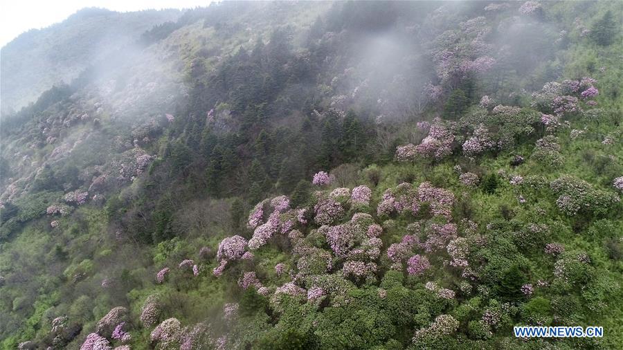 CHINA-HUBEI-SHENNONGJIA-SCENERY (CN)