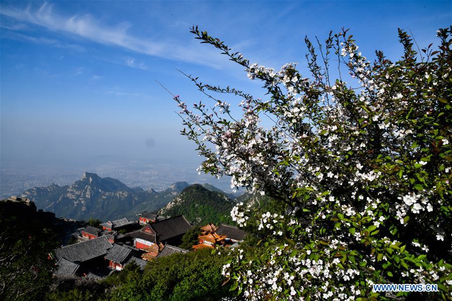 CHINA-SHANDONG-TAISHAN MOUNTAIN-SCENERY (CN)