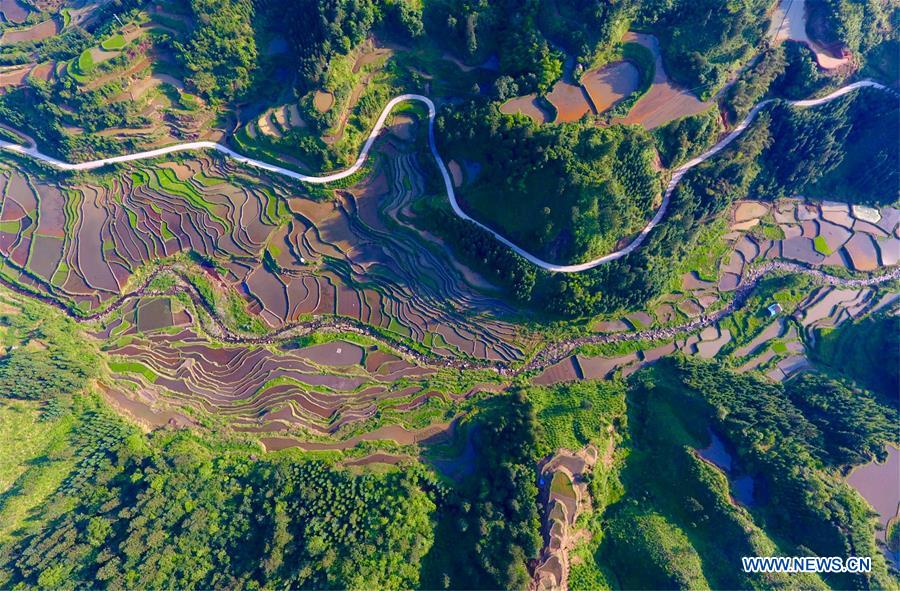 CHINA-GUANGXI-RONGSHUI-TERRACED FIELDS (CN)