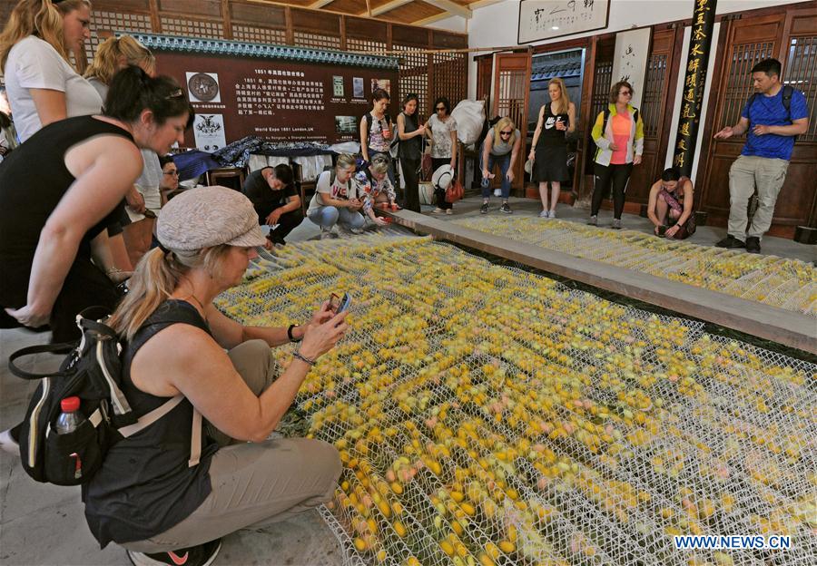 CHINA-ZHEJIANG-HUZHOU-SILK MUSEUM (CN)