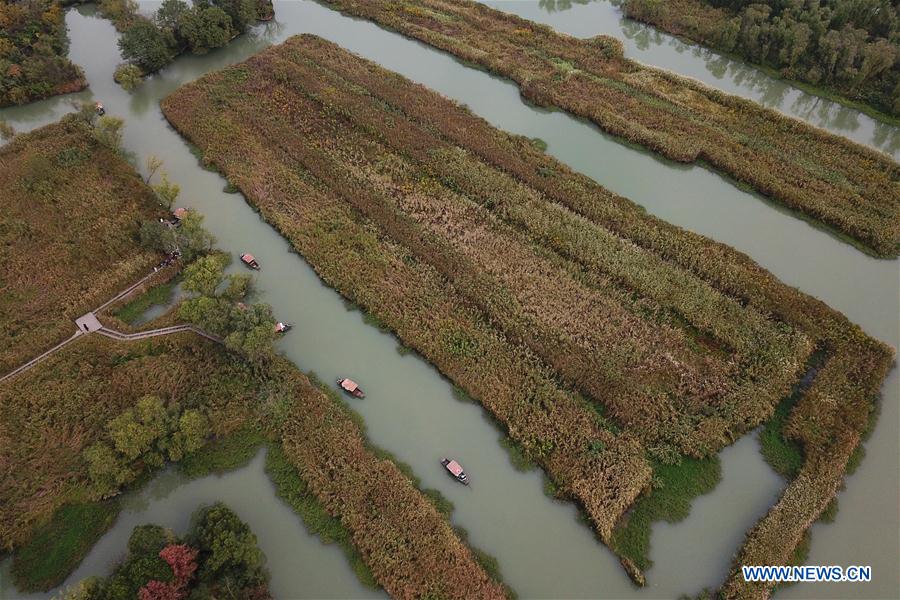 (EcoChina) CHINA-BEIJING-HORTICULTURAL EXPO-ZHEJIANG (CN)