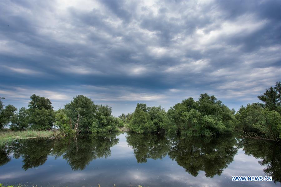 CROATIA-KOPACKI RIT NATURE PARK-SCENERY