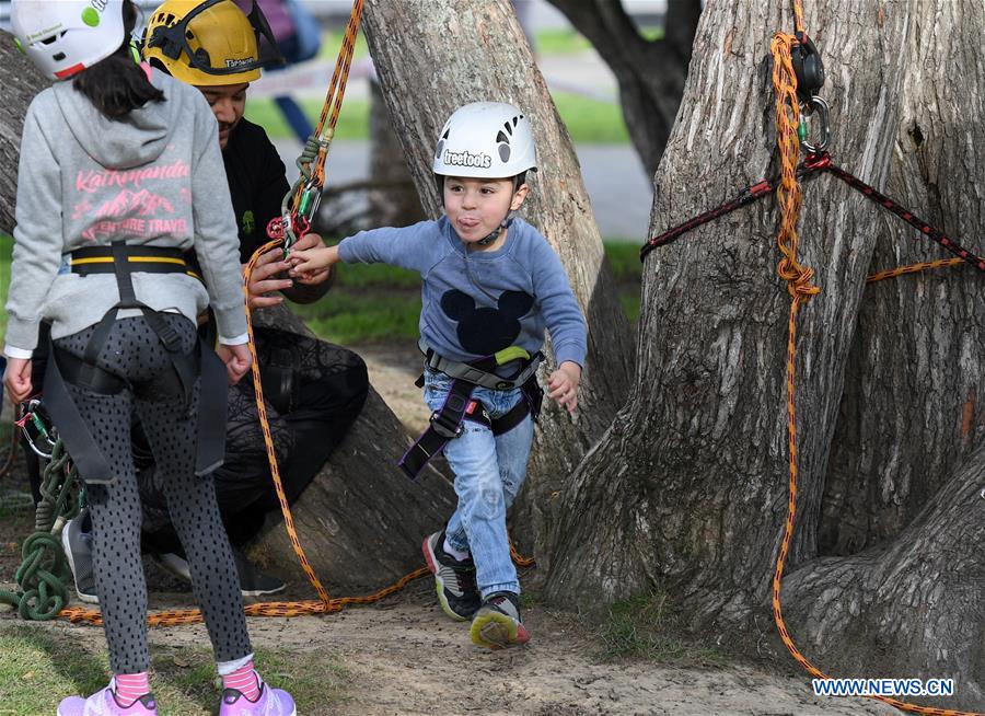 NEW ZEALAND-WELLINGTON-TREE CLIMBING COMPETITION