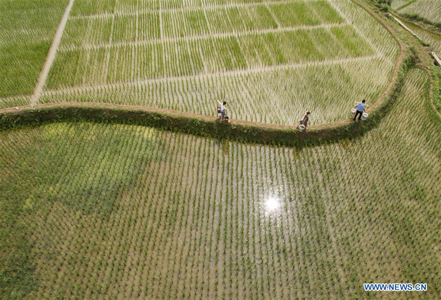 # CHINA-GUIZHOU-BIJIE-AGRICULTURE(CN)