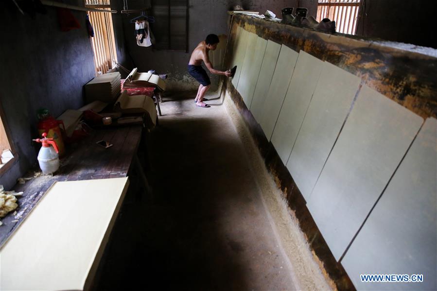 #CHINA-HUNAN-TANTOU-PAPERMAKING (CN)