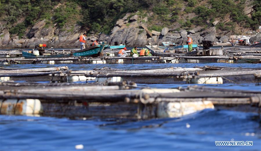 CHINA-DALIAN-CHANGHAI-FISH HARVEST(CN)