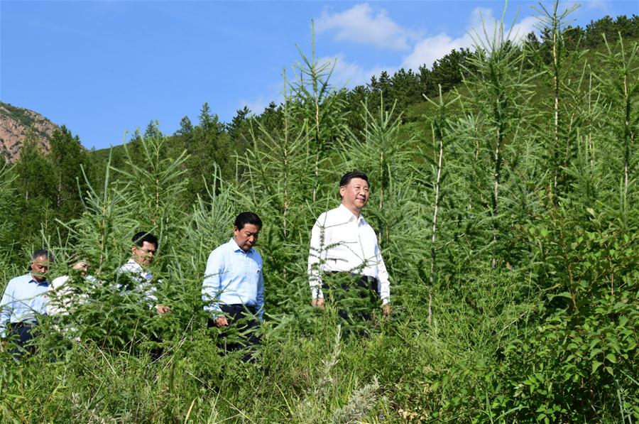 CHINA-INNER MONGOLIA-XI JINPING-INSPECTION (CN)