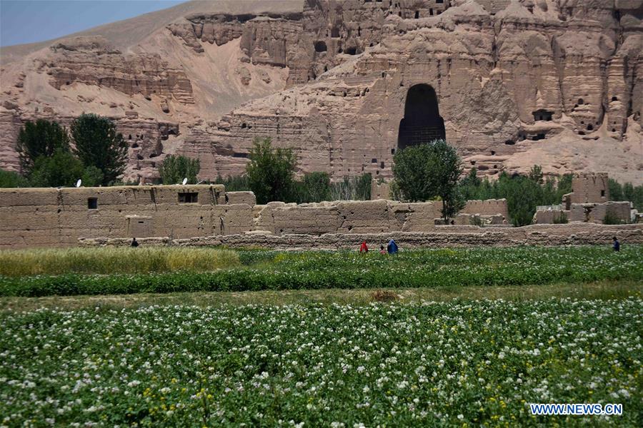 AFGHANISTAN-BAMYAN-POTATO BLOSSOM-FESTIVAL