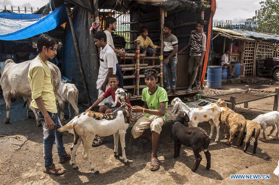 INDIA-KOLKATA-EID AL-ADHA-LIVESTOCK MARKET