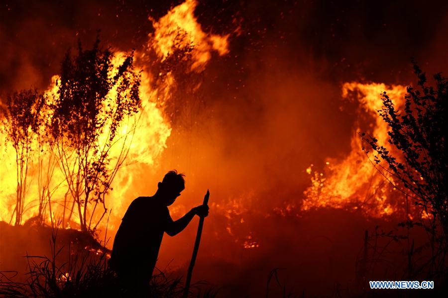 XINHUA PHOTOS OF THE DAY